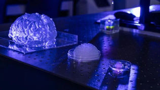 3D-gedrucktes Gehirnmodell, 3D-Druck in der Medizintechnik