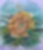 289FA956-4091-462A-8515-0F8E52480D5D.jpe