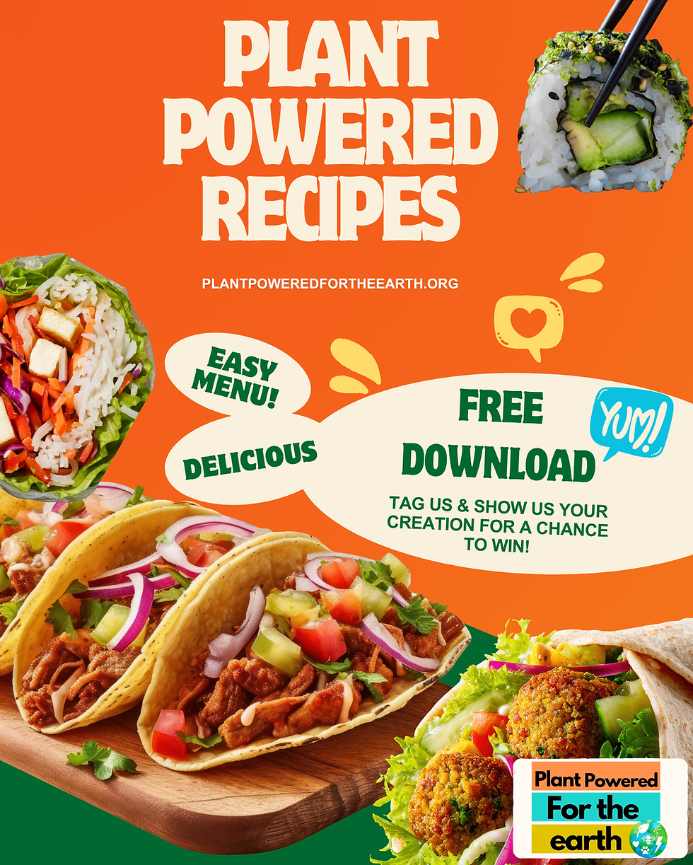 PP newww_LUNCHES (1).png