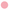 circulo_rosa-13.png
