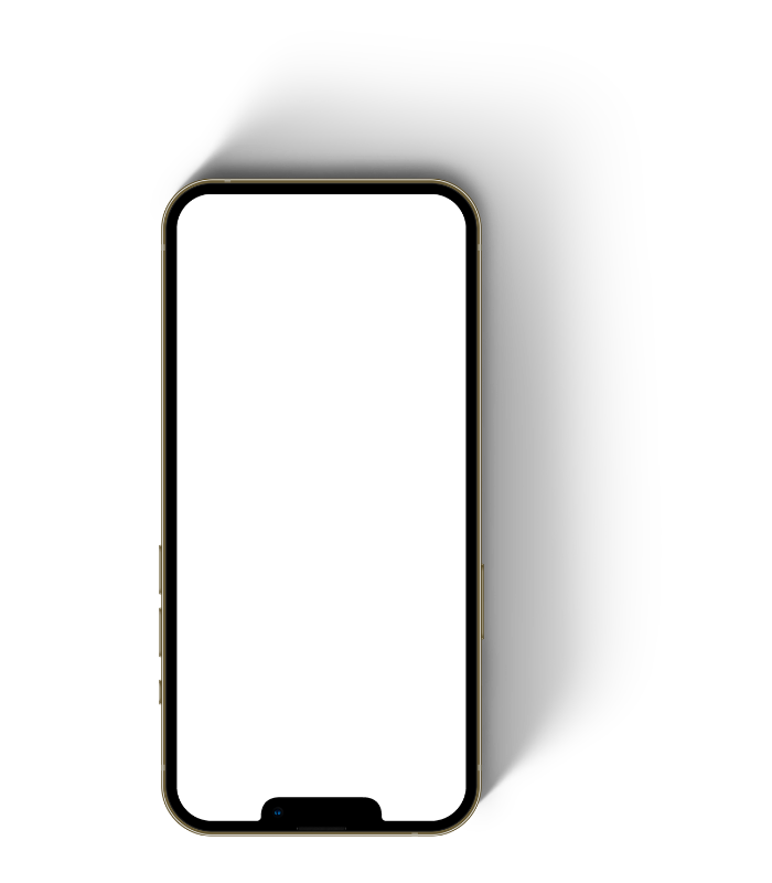 Visual of Iphone frame