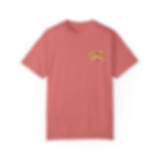Annoyance Burst Logo Garment-Dyed T-shirt