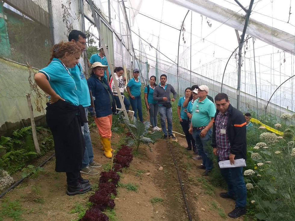 Recorrido Merca finca 