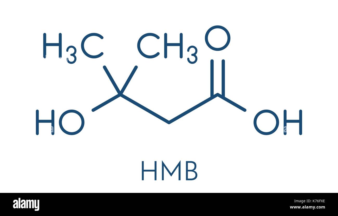 HMB (Beta-Hydroxy Beta-Methylbutyrate): The Muscle-Preserving Powerhouse