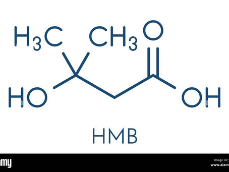 HMB molecule