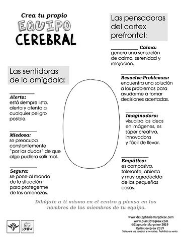 T1 spanish-create-your-own-brain-team_or