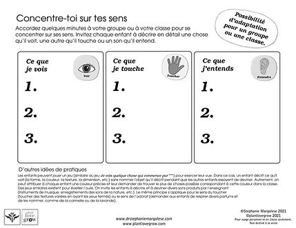 FRENCH Focus on your senses - group of classroom adaptations.jpg