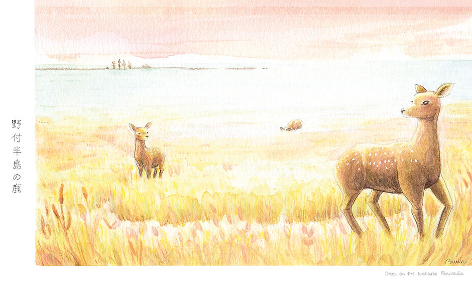 Hokkaido · Northern Summer