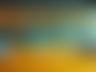 Servicios de arrendamiento y venta de autopartes en BOKILINGOMO