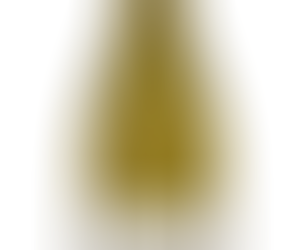 Terre Italiane Verdicchio dei Castelli di Jesi Classico 2020