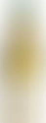 Ciccio Zaccagnini - Tralcetto Il Bianco di Ciccio Trebbiano D'Abruzzo DOC 2024