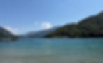 Ledrosee