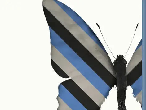 Takis Würger - Der Club