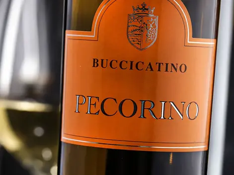 Buccicatino - Pecorino Terre di Chieti Bio IGT 2024