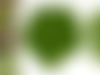 Lison, Tai oder Tocai, wie hätten wir's denn gerne