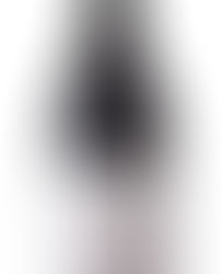 Pelissero - Dolcetto D'Alba Munfrina DOC 2023