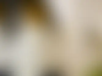 Buccicatino - Trebbiano d'Abruzzo Stilla Aurea Bio DOC 2024