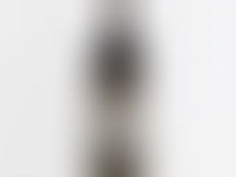 I Fabbri - Gran Selezione Chianti Classico DOCG 2019