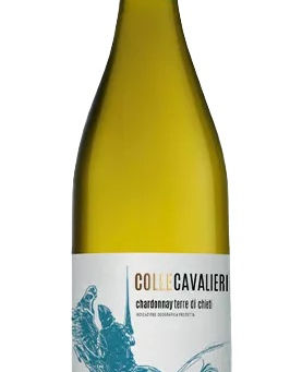 Cantina Tollo - Terre di Chieti Chardonnay IGP 2023