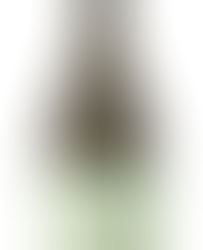 Ca' Bolani - Pinot Bianco Friuli Aquileia DOC 2024