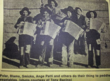 accordians.jpg