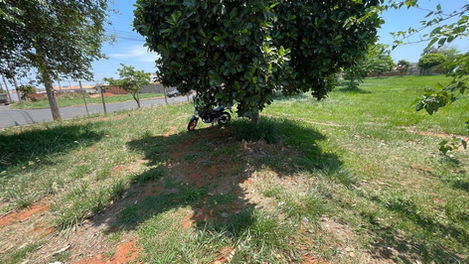 Imagem 04