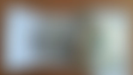 DHMO vs PPO Dental Insurance: Differences