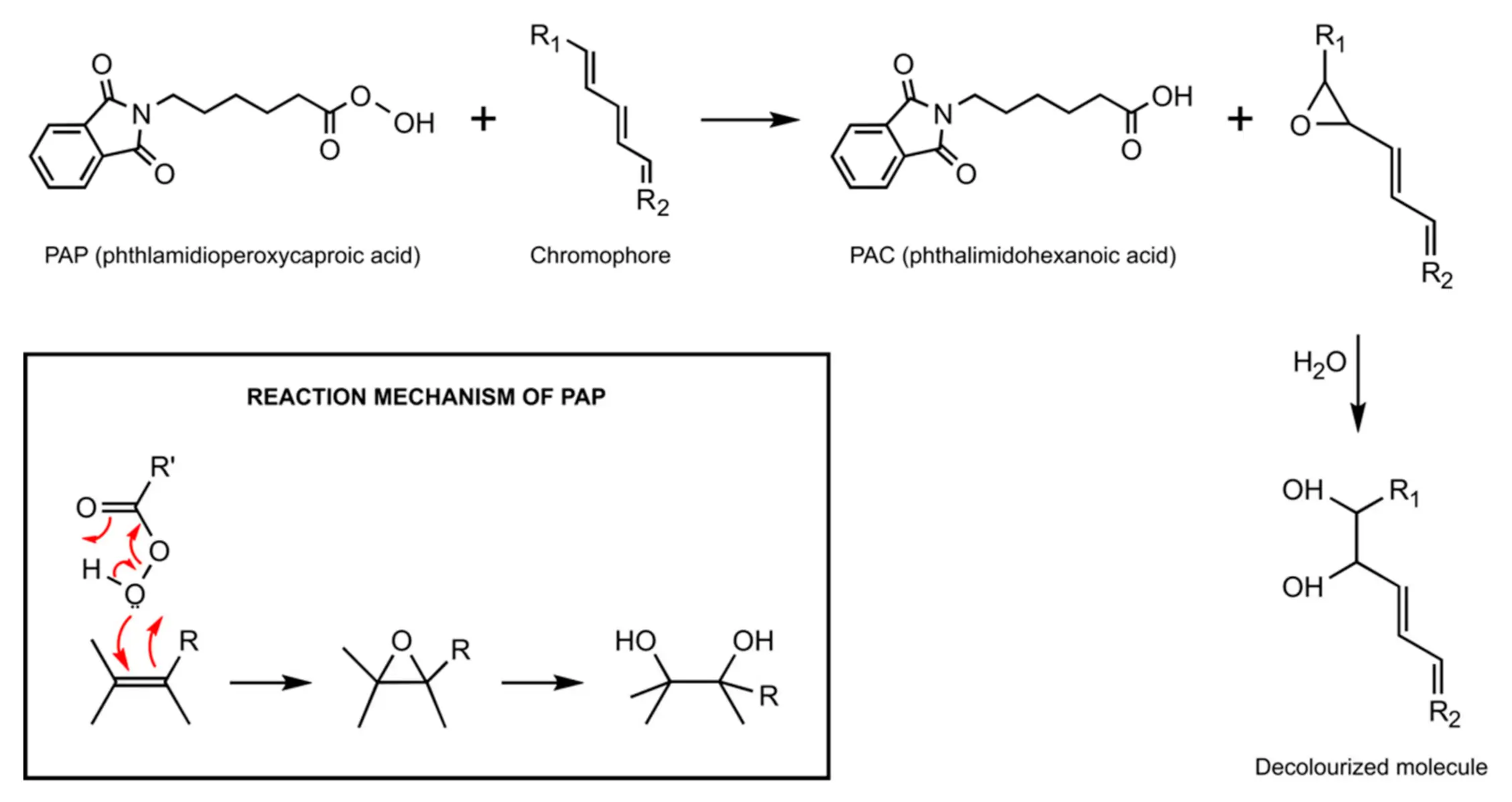 PAP-teeth-whitening-mechanism