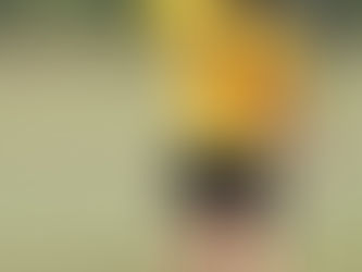 Why Is Dental Insurance So Bad?