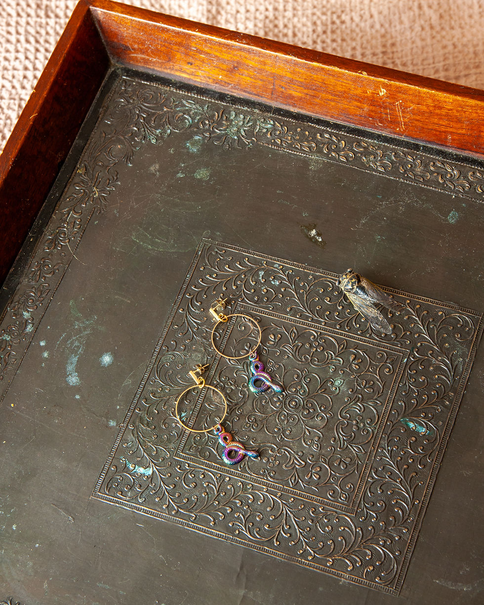 Thumbnail: EARRINGS - Hoops with Rainbow Snakes Post