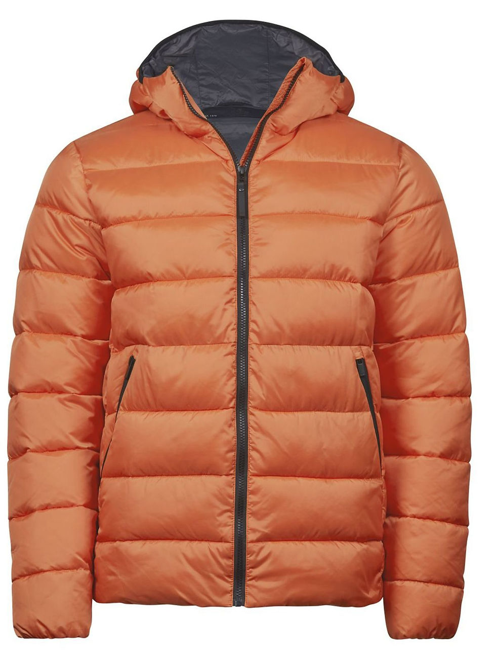 Miniature : Doudoune homme polyester imperméable - 4 coloris