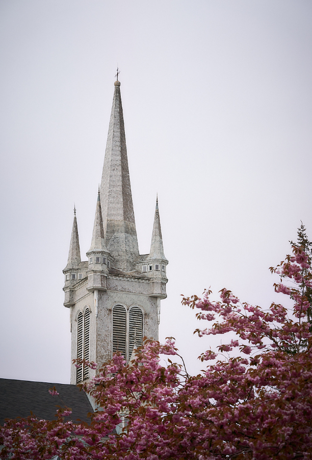 Photographies de Steve Caron/Steve Caron Photographs