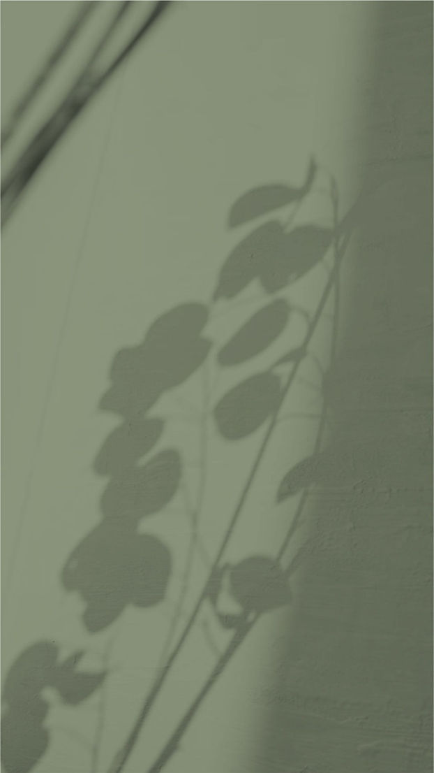 WhatsApp Image 2023-01-11 at 13.17.38.jpg