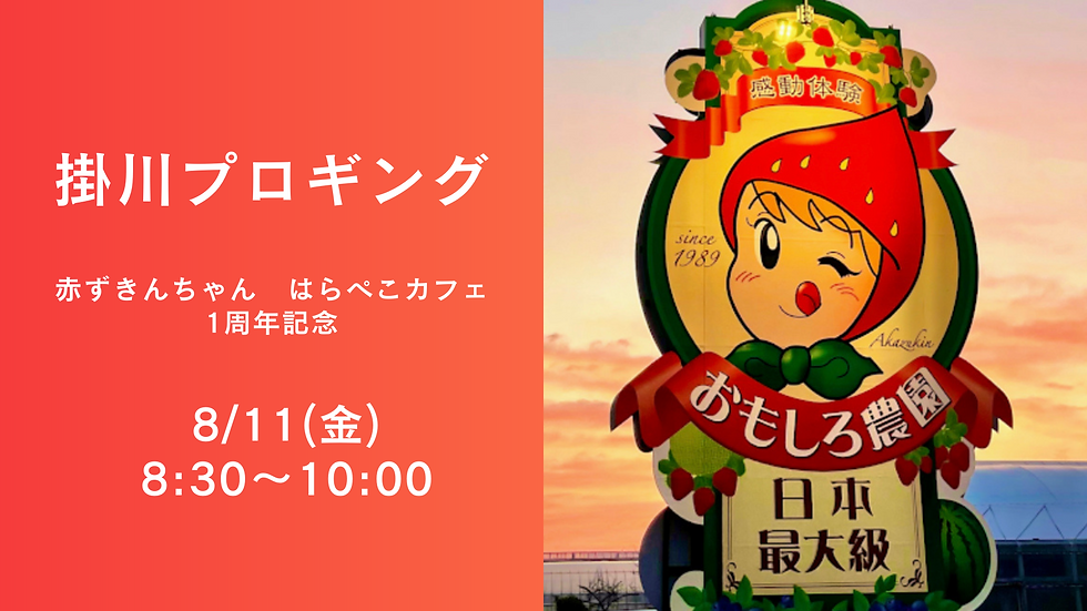 掛川プロギング 赤ずきんちゃん