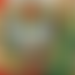 The Cozy Mystery Advent Calendar Day 19