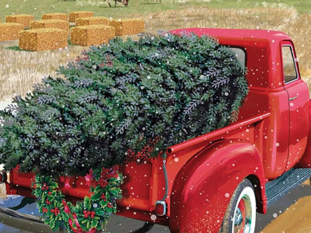 Christmas came early! Merry cozy mystery new releases for September 2025