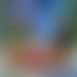 The Cozy Mystery Advent Calendar Day 18