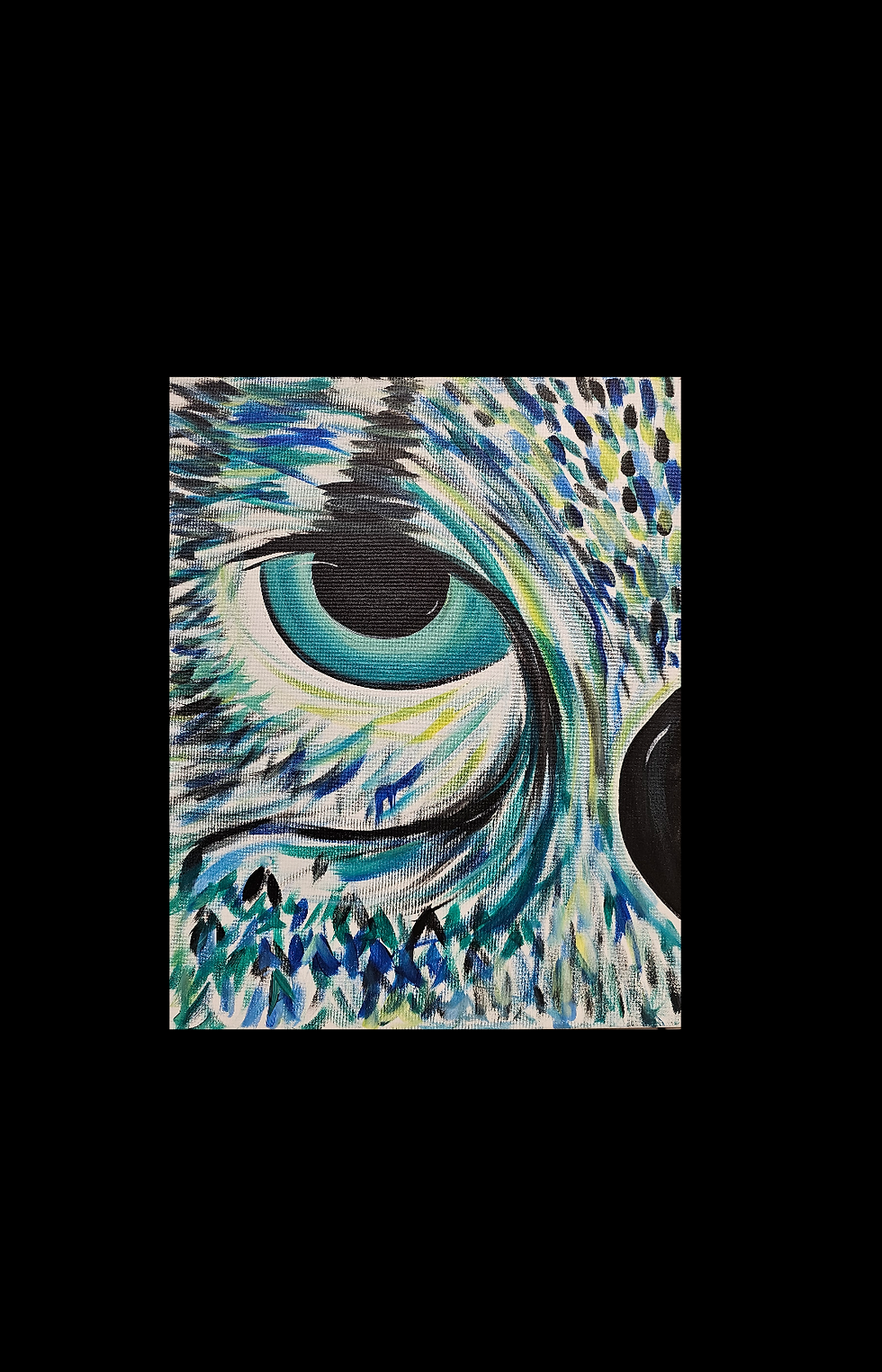 Owl's View