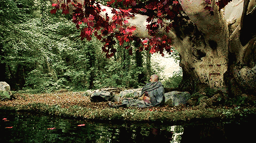 tumblr_marw6shRuS1rohuy3o1_500.gif