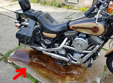 deep cleaning and detailing harley davidson motorcycle