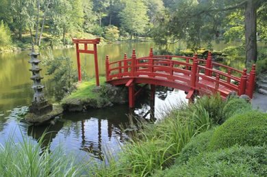 Como Criar Um Jardim Zen Para Meditar