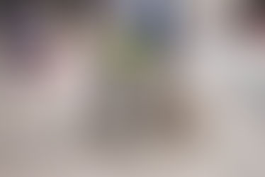 7 Cidades Com Qualidade De Vida