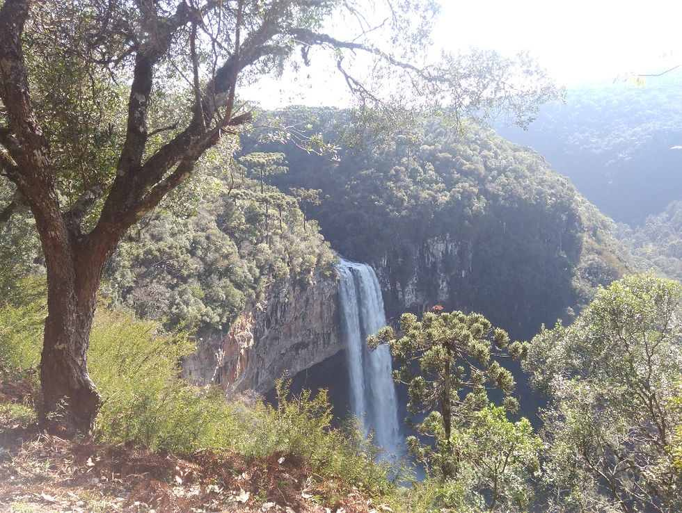 O verde da Mata Atlântica e a Cascata do Caracol em Canela, com sua majestosa queda d’água de 131m de altura | Foto Robriane Lara ©