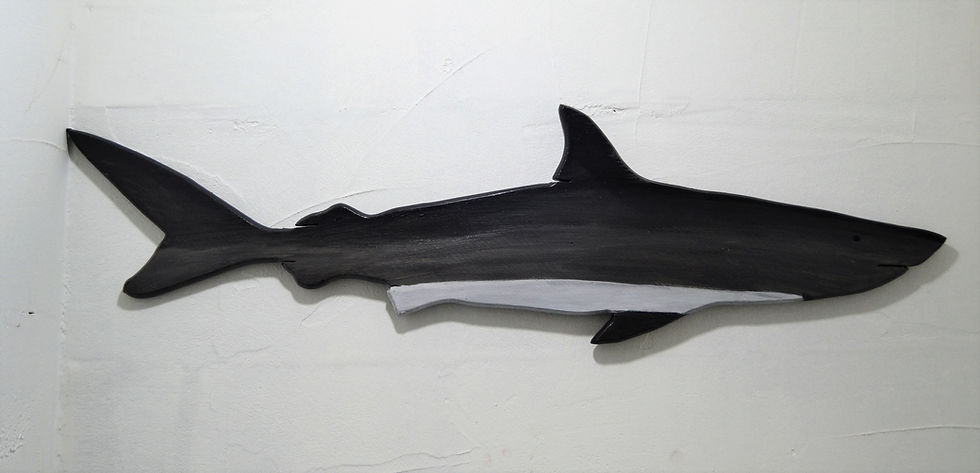 Küçük resim: Ahşap Köpek Balığı