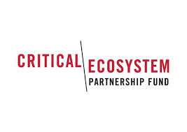 CEPF