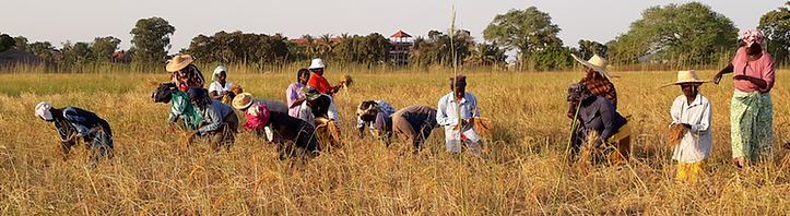 Project monitoring and evaluation