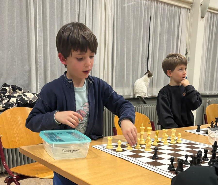 Freddy is druk aan het schaken