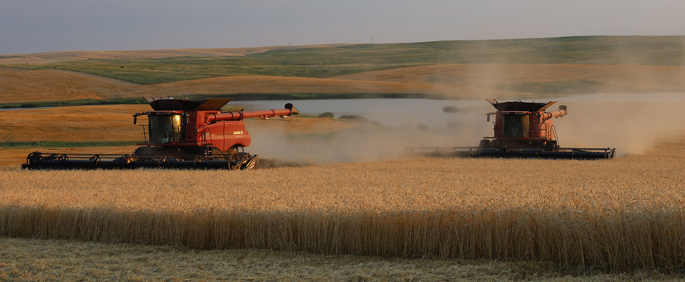 Harvesting with TK TerraNav