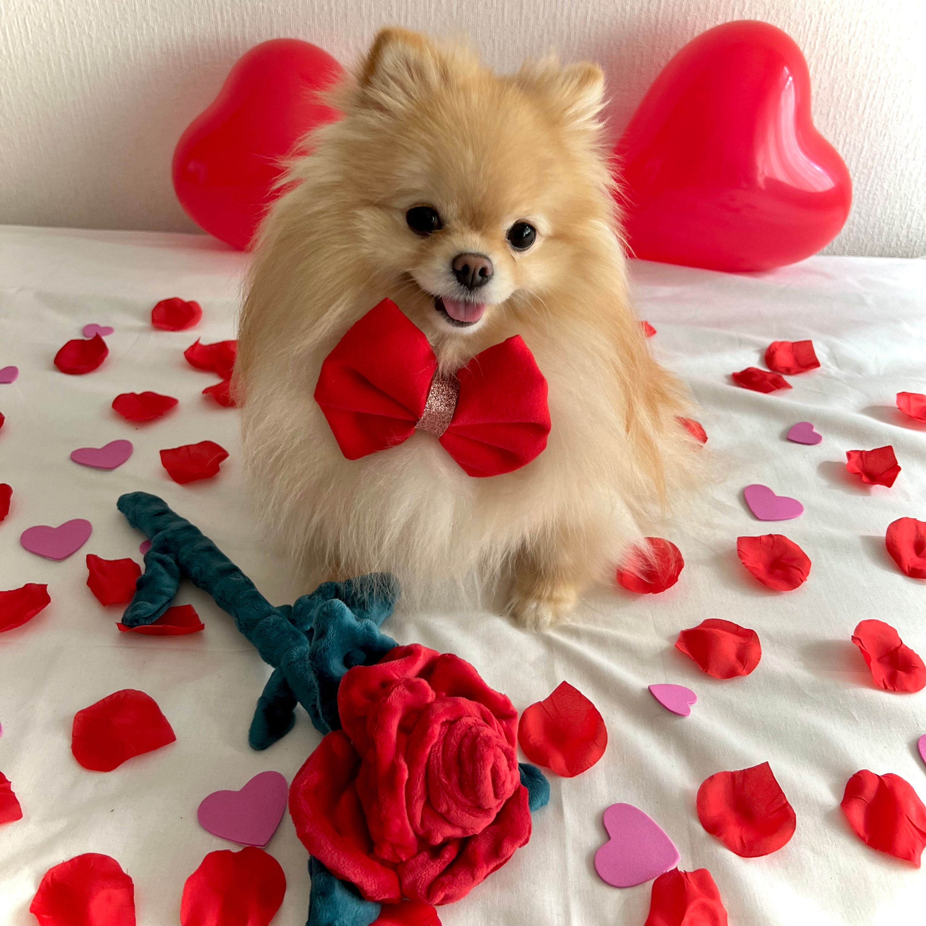 Doudou rose saint Valentin