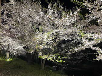 4月22日✨